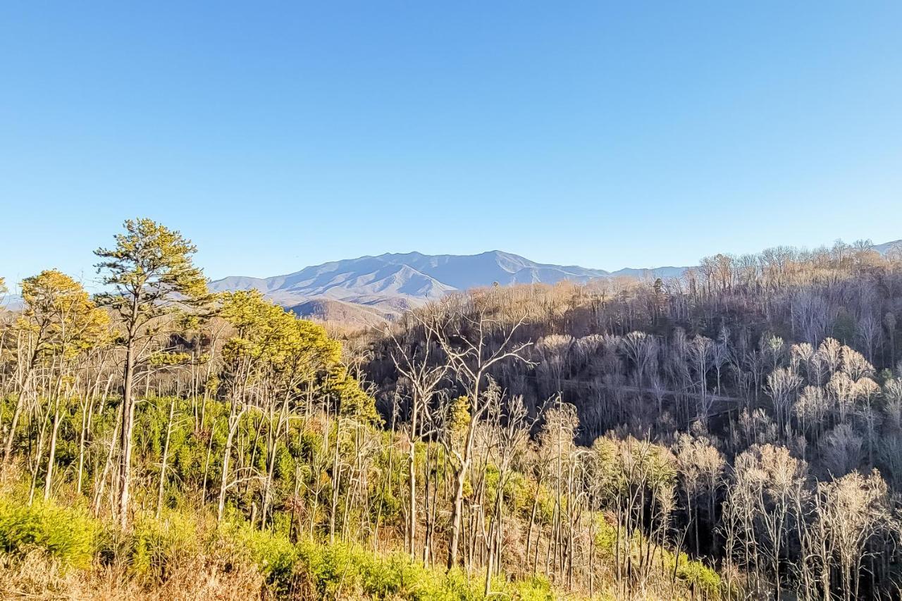 3 Lazy Bears Chalet Gatlinburg Exterior foto