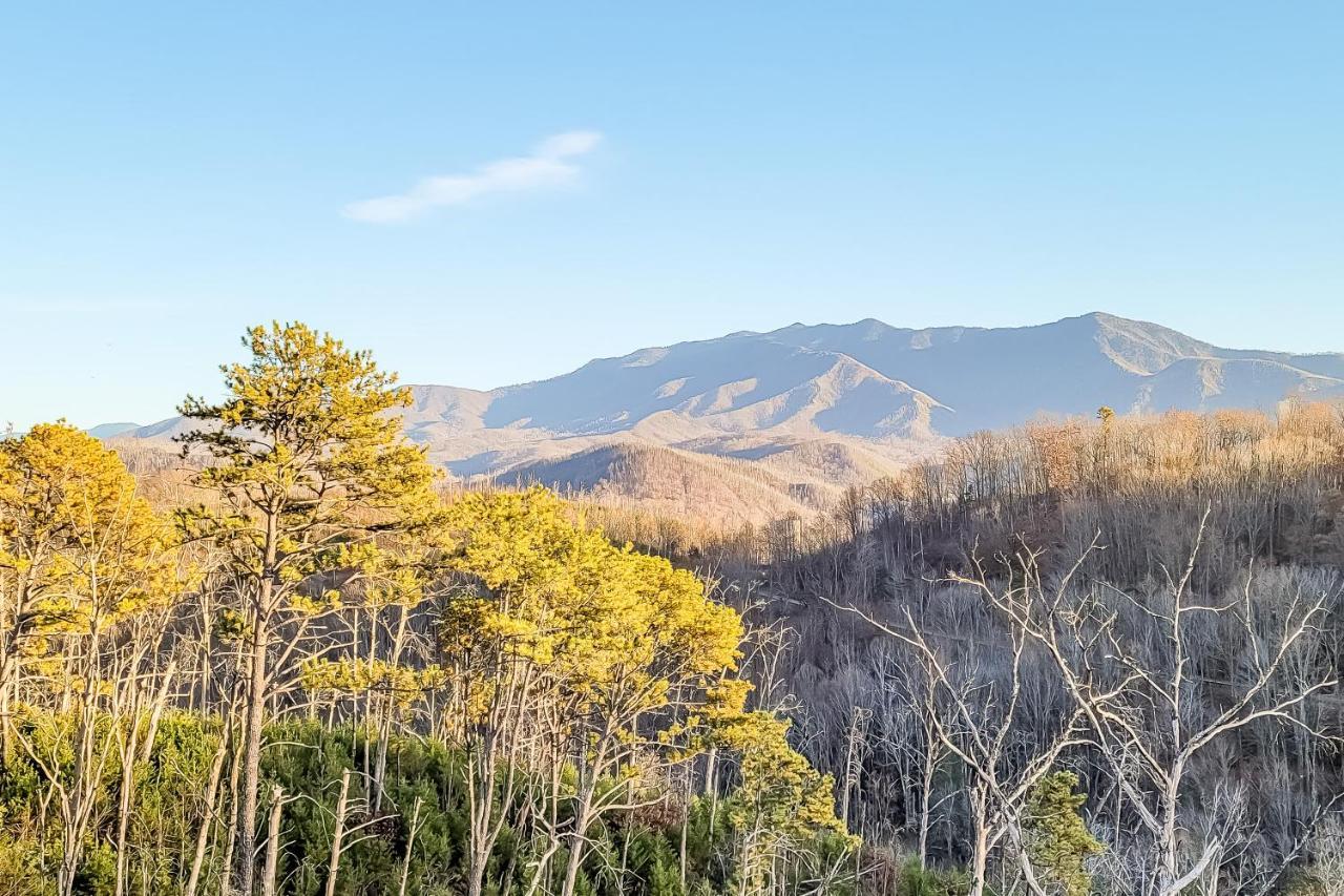 Villa 3 Lazy Bears Chalet Gatlinburg Exterior foto